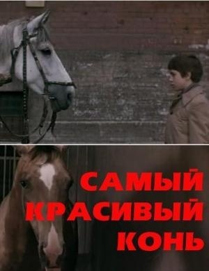 Самый красивый конь (1976) Самый красивый конь (1976)